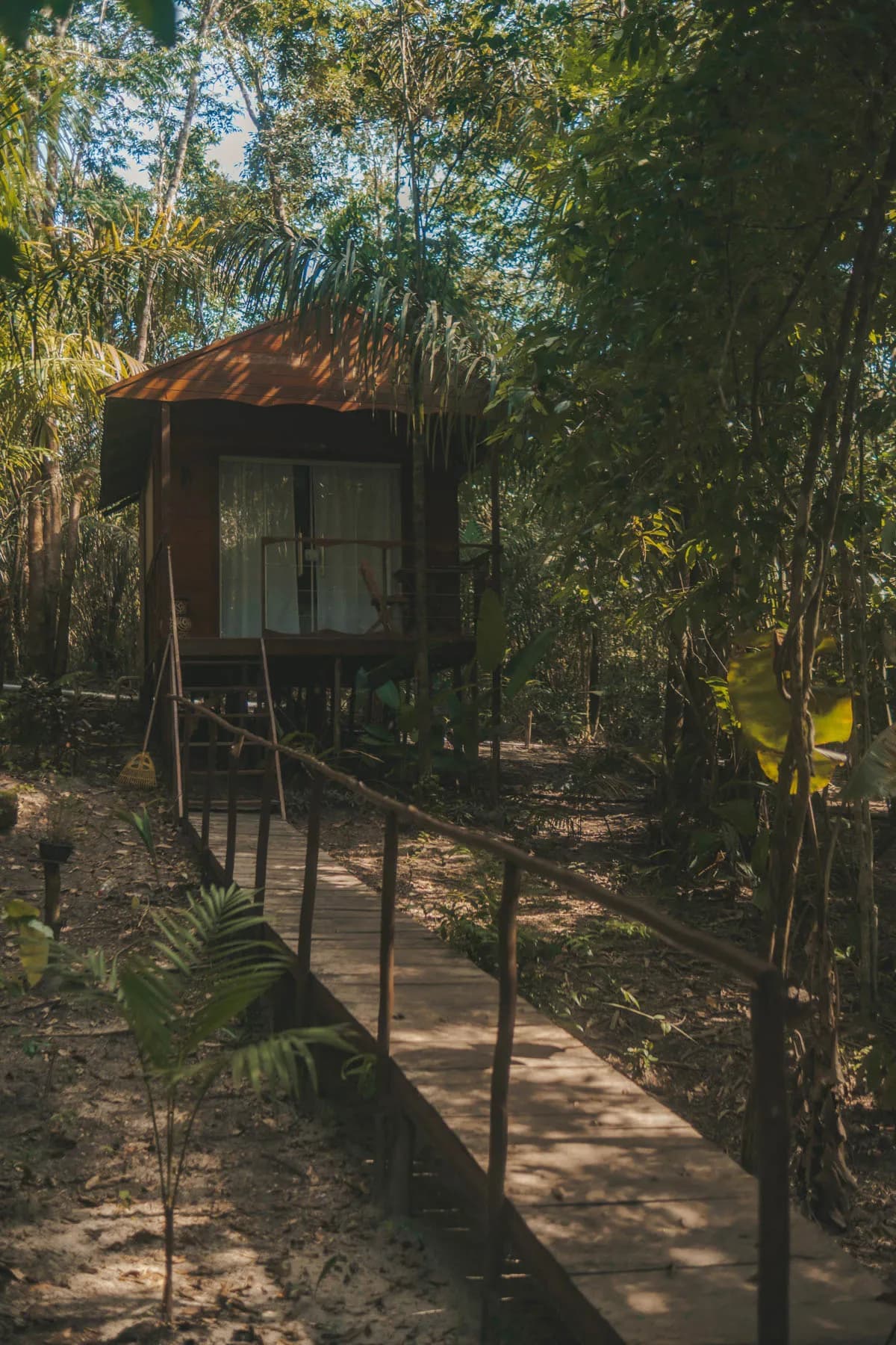 Bacurí — foto 2