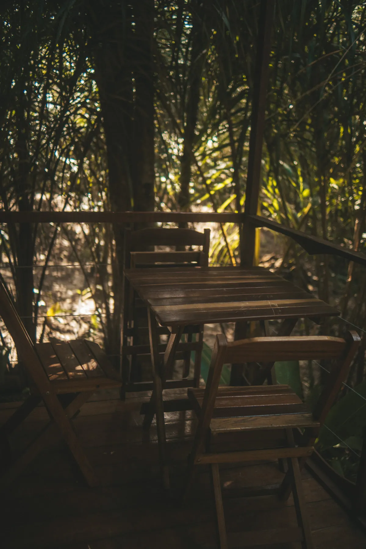 Bacurí — foto 6