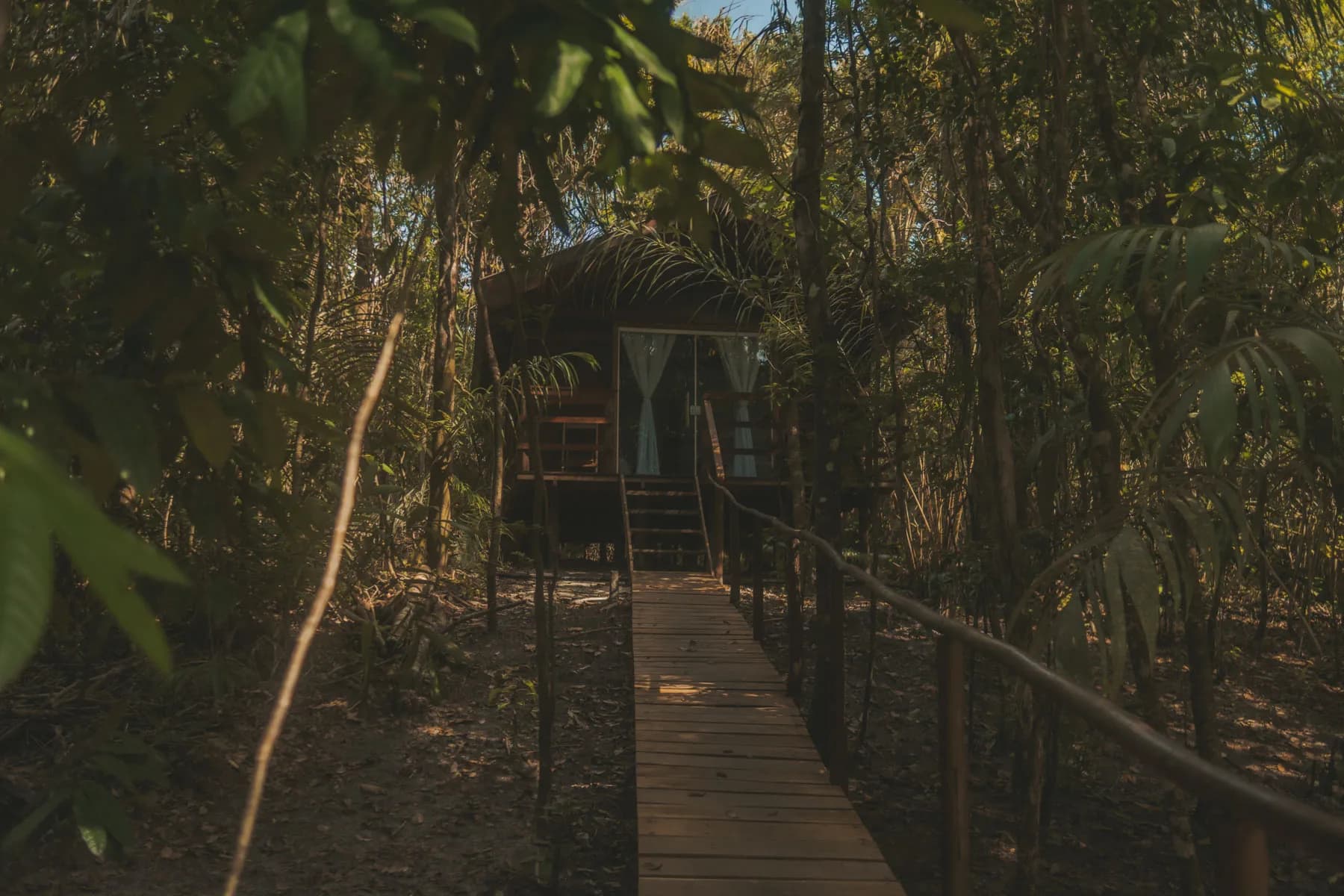 Cupuaçu — foto 2